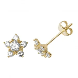 9ct Yellow Gold Zirconia Stud Earrings ES494