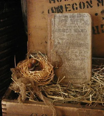 Antique Walter Baker & Co Chocolate Box Lid Buttocks Basket Child's Book Gathering